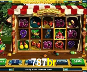 Tecnologia da Plataforma 787br