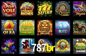 Sistemas de Segurança 787br